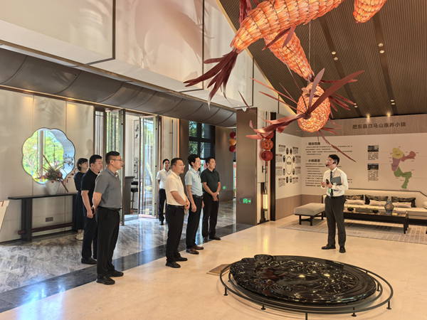 寿县县委常委、、、副县长房鲲鹏一行到访省康健养老公司