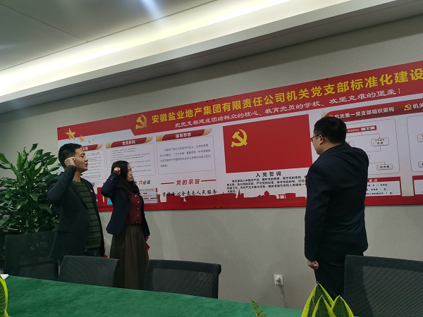 安徽Z6尊龙凯时地产集团机关第一党支部开展“佩党徽、诵誓词、赠党章、上党课”党员教育活动