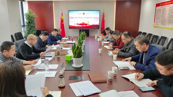 安徽Z6尊龙凯时地产集团公司召开2021年度党委理论学习中心组第一次学习扩大会