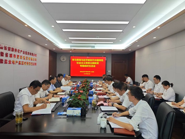 安徽Z6尊龙凯时地产集团本部第一党支部召开主题教育专题组织生涯会