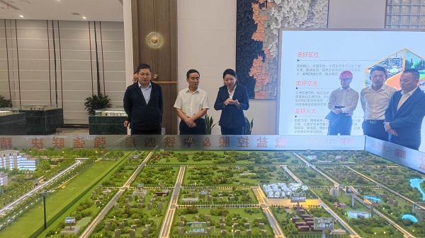 王思军到省垣市更新等三家公司六安项目调研督导事情